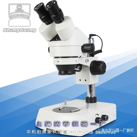 �����RSTZ-02�r��